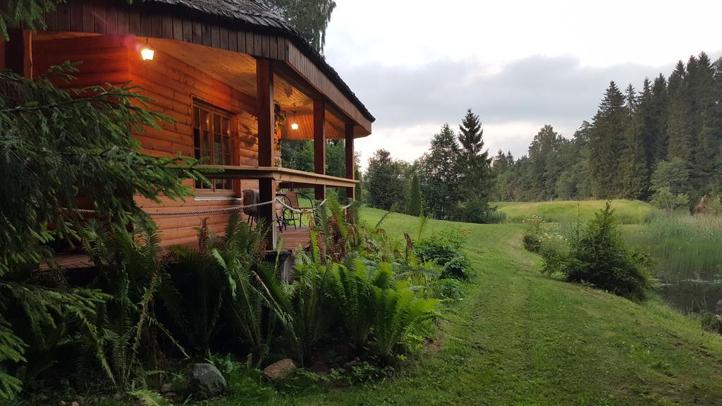 Murmulmuiza Zageri Buitenkant foto